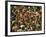 Overall of the Huge Crowd, During the Woodstock Music and Art Fair-John Dominis-Framed Photographic Print