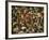 Overall of the Huge Crowd, During the Woodstock Music and Art Fair-John Dominis-Framed Photographic Print