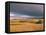 Overberg Landscape, Western Cape, South Africa, Africa-Alain Evrard-Framed Premier Image Canvas