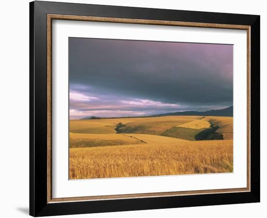 Overberg Landscape, Western Cape, South Africa, Africa-Alain Evrard-Framed Photographic Print