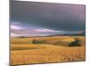 Overberg Landscape, Western Cape, South Africa, Africa-Alain Evrard-Mounted Photographic Print