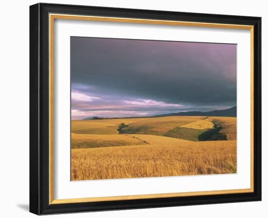 Overberg Landscape, Western Cape, South Africa, Africa-Alain Evrard-Framed Photographic Print