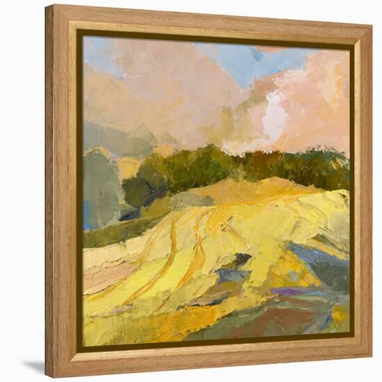 Overcast Farm Day-Toby Gordon-Framed Stretched Canvas