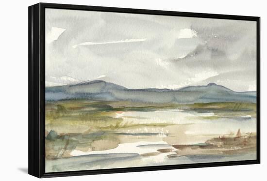 Overcast Wetland I-Ethan Harper-Framed Stretched Canvas