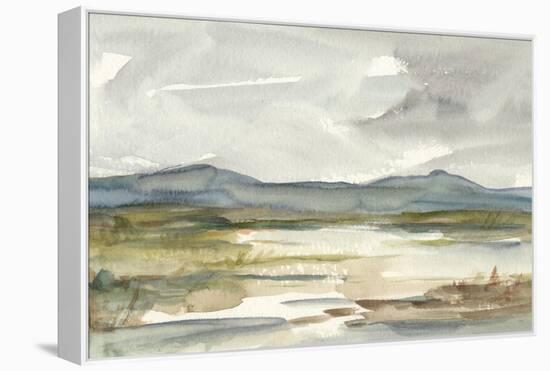 Overcast Wetland I-Ethan Harper-Framed Stretched Canvas