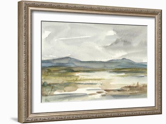 Overcast Wetland I-Ethan Harper-Framed Art Print