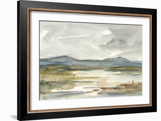 Overcast Wetland I-Ethan Harper-Framed Art Print