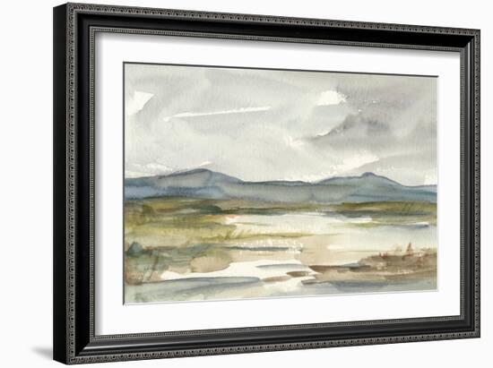 Overcast Wetland I-Ethan Harper-Framed Art Print