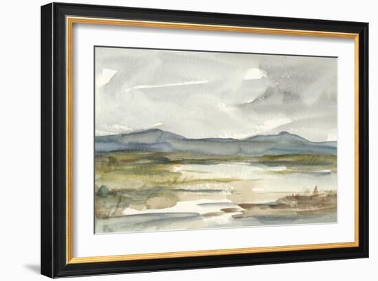 Overcast Wetland I-Ethan Harper-Framed Art Print