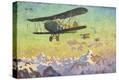 Stretched Canvas Print