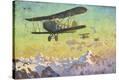Stretched Canvas Print