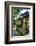 Overgrown Statues in a Temple in the Monkey Forest, Ubud, Bali, Indonesia, Southeast Asia, Asia-Michael Runkel-Framed Photographic Print