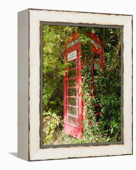 Overgrown Telephone Box, England, United Kingdom, Europe-David Hughes-Framed Premier Image Canvas