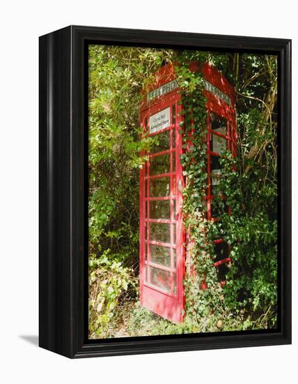 Overgrown Telephone Box, England, United Kingdom, Europe-David Hughes-Framed Premier Image Canvas