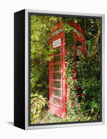 Overgrown Telephone Box, England, United Kingdom, Europe-David Hughes-Framed Premier Image Canvas