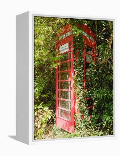 Overgrown Telephone Box, England, United Kingdom, Europe-David Hughes-Framed Premier Image Canvas