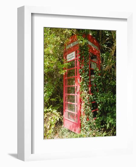 Overgrown Telephone Box, England, United Kingdom, Europe-David Hughes-Framed Photographic Print