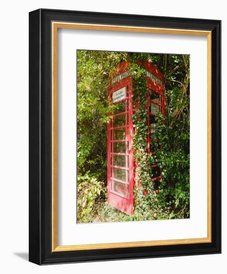 Overgrown Telephone Box, England, United Kingdom, Europe-David Hughes-Framed Photographic Print