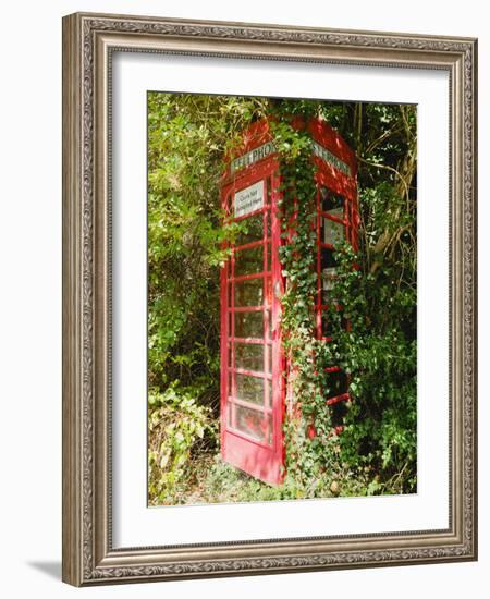 Overgrown Telephone Box, England, United Kingdom, Europe-David Hughes-Framed Photographic Print