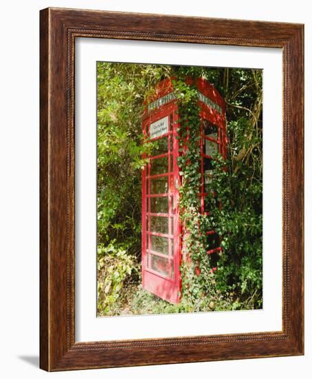 Overgrown Telephone Box, England, United Kingdom, Europe-David Hughes-Framed Photographic Print