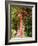 Overgrown Telephone Box, England, United Kingdom, Europe-David Hughes-Framed Photographic Print