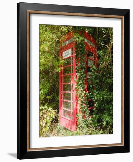 Overgrown Telephone Box, England, United Kingdom, Europe-David Hughes-Framed Photographic Print