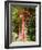 Overgrown Telephone Box, England, United Kingdom, Europe-David Hughes-Framed Photographic Print