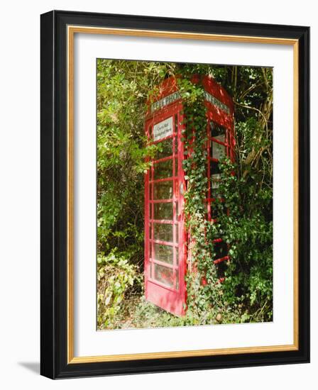 Overgrown Telephone Box, England, United Kingdom, Europe-David Hughes-Framed Photographic Print