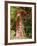 Overgrown Telephone Box, England, United Kingdom, Europe-David Hughes-Framed Photographic Print