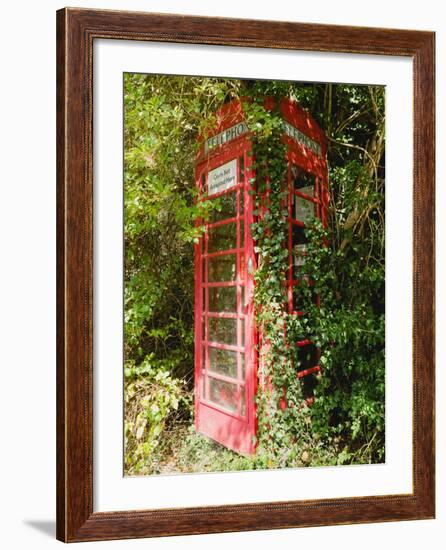 Overgrown Telephone Box, England, United Kingdom, Europe-David Hughes-Framed Photographic Print