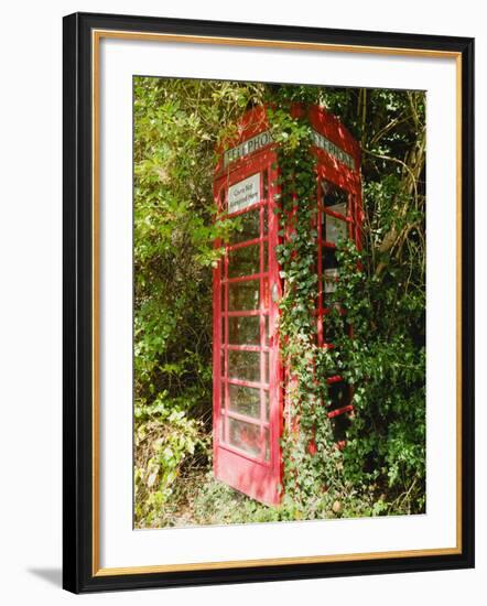 Overgrown Telephone Box, England, United Kingdom, Europe-David Hughes-Framed Photographic Print