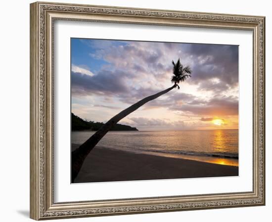 Overhanging Palm Tree at Nippah Beach at Sunset, Lombok Island, Indonesia, Southeast Asia-Matthew Williams-Ellis-Framed Photographic Print