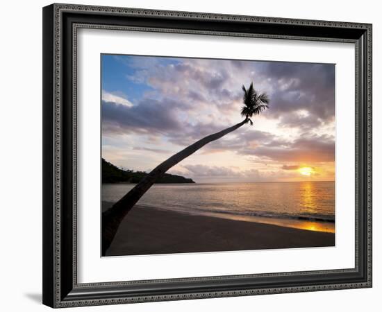 Overhanging Palm Tree at Nippah Beach at Sunset, Lombok Island, Indonesia, Southeast Asia-Matthew Williams-Ellis-Framed Photographic Print