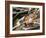 Overhead of Brazillian Men Working on a Small Cargo Boat-Dmitri Kessel-Framed Photographic Print