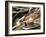 Overhead of Brazillian Men Working on a Small Cargo Boat-Dmitri Kessel-Framed Photographic Print