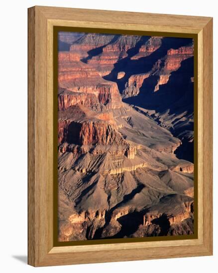 Overhead of South Rim of Canyon, Grand Canyon National Park, U.S.A.-Mark Newman-Framed Premier Image Canvas