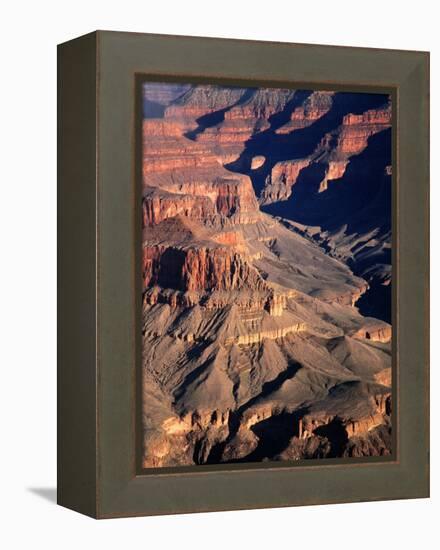 Overhead of South Rim of Canyon, Grand Canyon National Park, U.S.A.-Mark Newman-Framed Premier Image Canvas