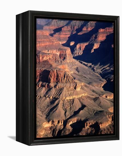 Overhead of South Rim of Canyon, Grand Canyon National Park, U.S.A.-Mark Newman-Framed Premier Image Canvas