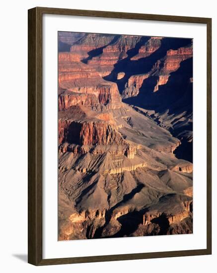 Overhead of South Rim of Canyon, Grand Canyon National Park, U.S.A.-Mark Newman-Framed Photographic Print