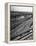 Overhead Tracks Running in All Directions-Ed Clark-Framed Premier Image Canvas