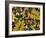 Overhead View of Autumn Leaves on the Ground-Kathy Collins-Framed Photographic Print