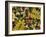 Overhead View of Autumn Leaves on the Ground-Kathy Collins-Framed Photographic Print