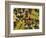 Overhead View of Autumn Leaves on the Ground-Kathy Collins-Framed Photographic Print