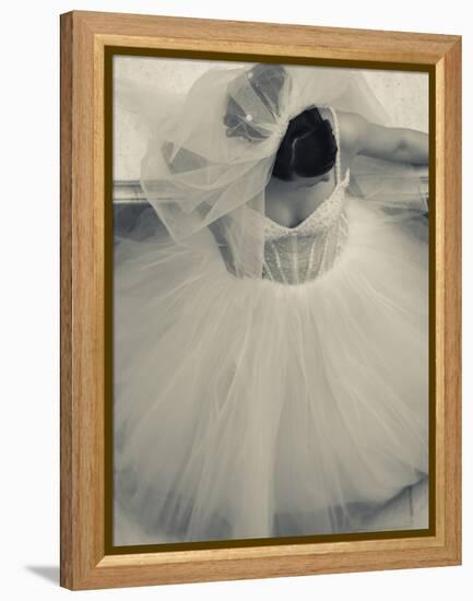 Overhead View of Bride at Gum Shopping Mall, Red Square, Moscow, Moscow Oblast, Russia-Walter Bibikow-Framed Premier Image Canvas