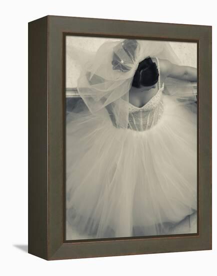 Overhead View of Bride at Gum Shopping Mall, Red Square, Moscow, Moscow Oblast, Russia-Walter Bibikow-Framed Premier Image Canvas