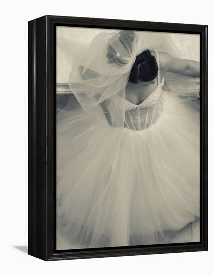 Overhead View of Bride at Gum Shopping Mall, Red Square, Moscow, Moscow Oblast, Russia-Walter Bibikow-Framed Premier Image Canvas