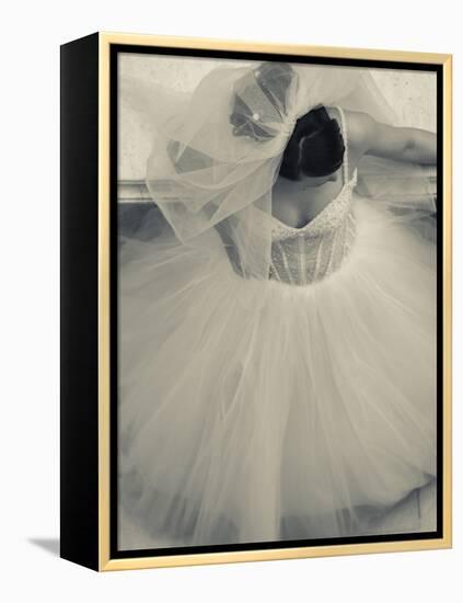 Overhead View of Bride at Gum Shopping Mall, Red Square, Moscow, Moscow Oblast, Russia-Walter Bibikow-Framed Premier Image Canvas