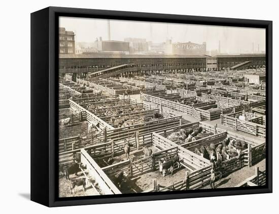 Overhead View of Chicago Stockyards-null-Framed Premier Image Canvas