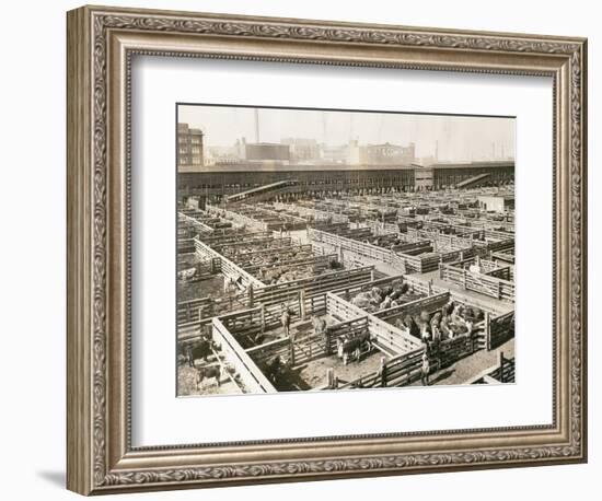 Overhead View of Chicago Stockyards-null-Framed Photographic Print