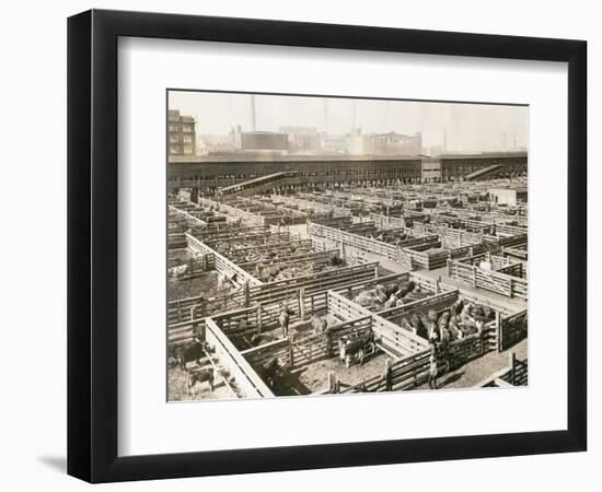 Overhead View of Chicago Stockyards-null-Framed Photographic Print
